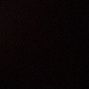 Meet your Posher, Anne